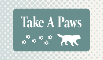 Take A PAWS